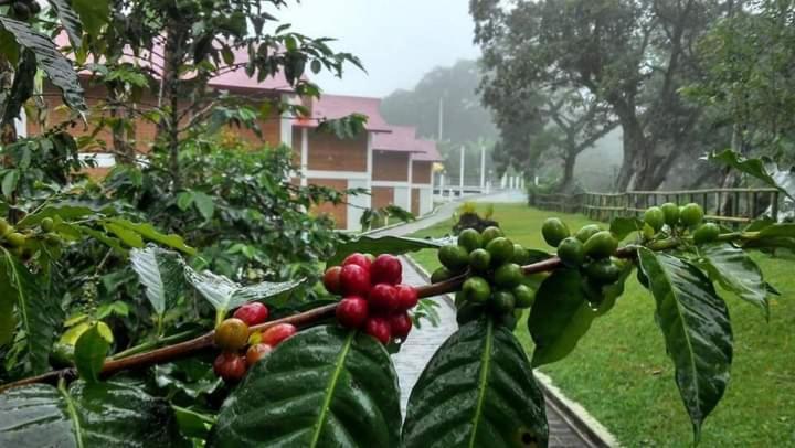 Finca Santa Rosa Teocelo Екстериор снимка