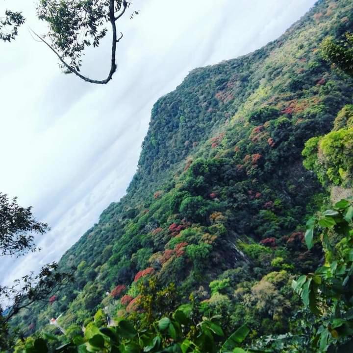 Finca Santa Rosa Teocelo Екстериор снимка